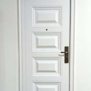 China Exterior Security Doors (CS 002)