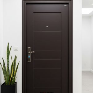 China Exterior Security Doors (CS 003)