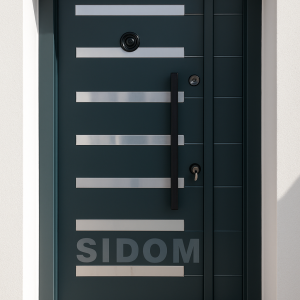 Luxury Security Entry Door  COMPOSITE (Code-SD1333)
