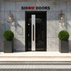 Entry Security Doors (Code- SD 9910)