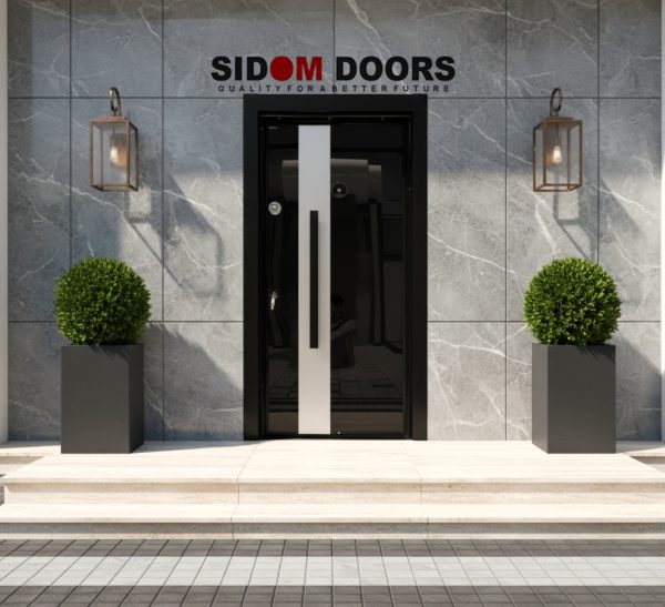 Entry Security Doors (Code- SD 9910)