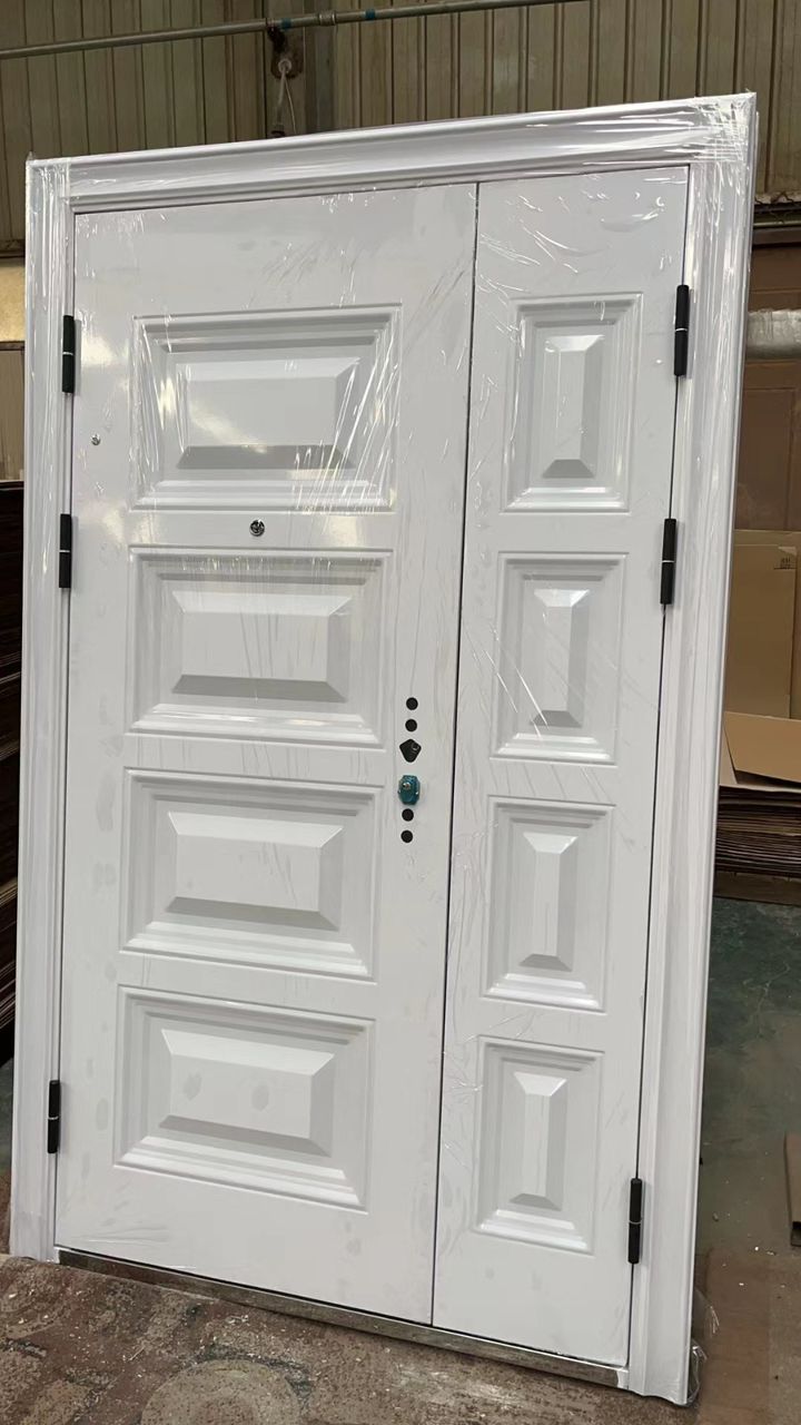 China Exterior Security Doors (CS 002)