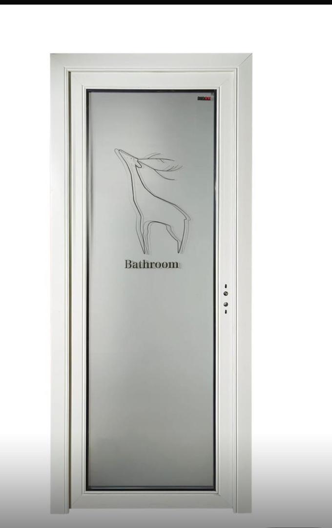 Bathroom Frosted Glass Door(Code-SD 1572)