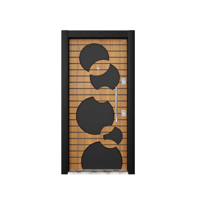 Security Entry Door (Code-SD 0020)