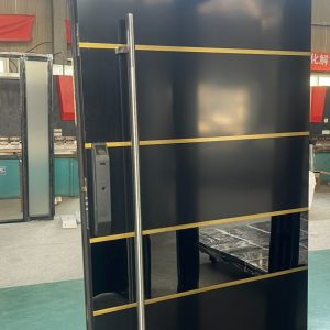 Sidom Pivot Smart Exterior Doors   (Code-PV 1003)